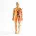 Набор для опытов ЭВРИКИ 'Строение тела со скелетом и внутренними органами'