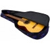 FLIGHT FBG-1039 Space - Чехол для классической гитары утепленный (3мм) Флайт